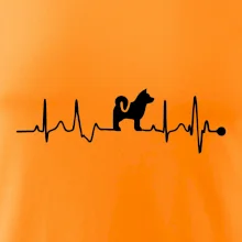 Shiba-Inu EKG