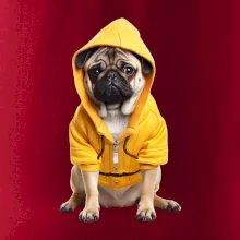 Mops v mikine Mops v mikine