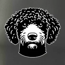 Lagotto romagnolo hlava na prsníku