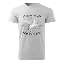 Pegasus fantasy Pegasus fantasy
