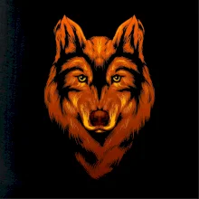 Ohnivá hlava vlka Ohnivá hlava vlka