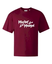 Harry - Mischief Managed