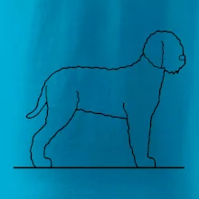 Lagotto romagnolo stojaci