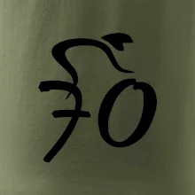 Cyklista oslavuje sedemdesiatku (70)