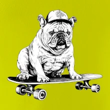 Čiernobiely buldog na skateboarde
