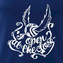 Harry - Zlatá strela Harry - Zlatá strela