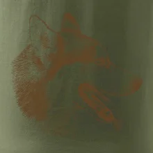 Husky - hlava z boku