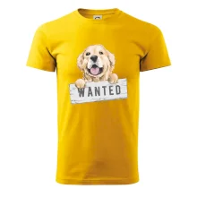 Zlatý retriever - šteniatko wanted