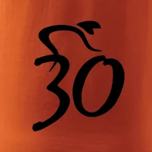 Cyklista oslavuje tridsiatku (30)