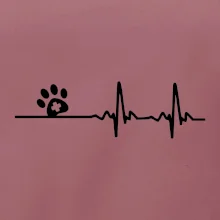 Veterinár EKG