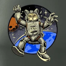 Mačacie astronaut