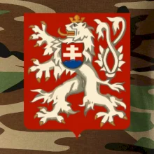 Znak maly Prvá Republika československá 1918–1920