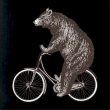 Medveď na bicykli