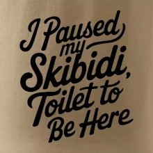I Paused My Skibidi Toilet to be Here