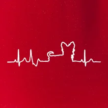Yorkshirský teriér EKG