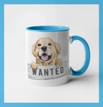 Zlatý retriever - šteniatko wanted