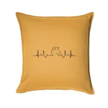 Borderská kólia EKG