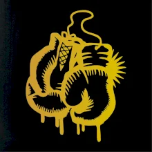 Box rukavice - zlatá potlač Box rukavice - zlatá potlač