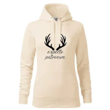 Harry - Expecto patronum