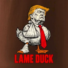Donald Trump lame duck rytina