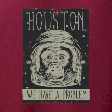 Houston we have a problem