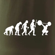 Evolution fitness