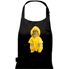 Králik v pláštenke