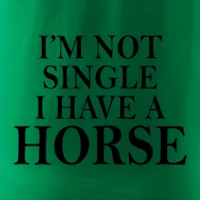 I have a horse
