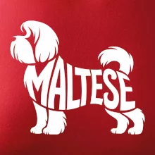 Maltézsky psík nápis v tele