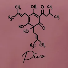 Barová chémia - pivo Barová chémia - pivo