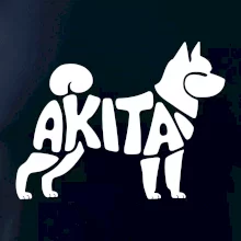 Akita Inu - Nápis v tele