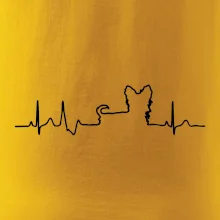 Yorkshirský teriér EKG Yorkshirský teriér EKG