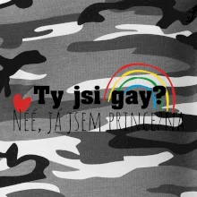 Gay princezna Gay princezna