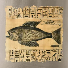 Egyptské hieroglyfy ryba Egyptské hieroglyfy ryba