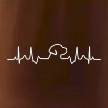 Labradorský retriever‎ EKG