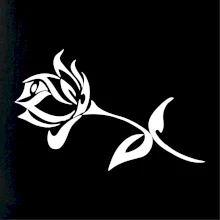 Ruže obrys Ruže obrys