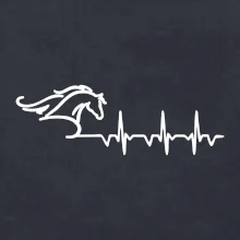 Hlava koňa EKG