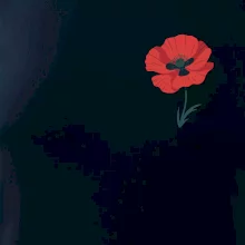 Vlčí mak kreslený na prsníku