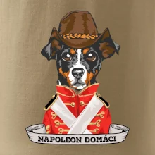 Napoleon domáci kríženec
