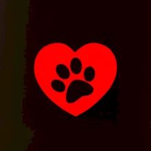 Labka v srdci Labka v srdci