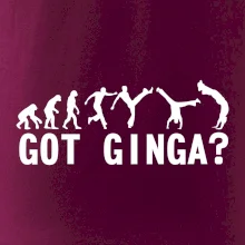 Capoeira - Got Ginga