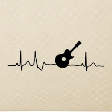 EKG akustická gitara EKG akustická gitara