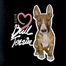 I love bull terrier