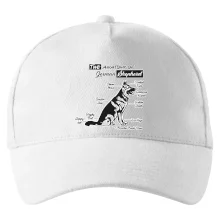 Nemecký ovčiak - Anatómia