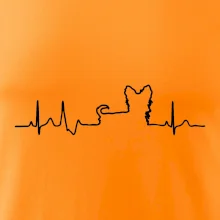 Yorkshirský teriér EKG Yorkshirský teriér EKG