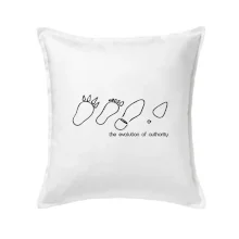 Evolution of authority