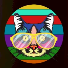 Mačka pri farebnom západe Mačka pri farebnom západe