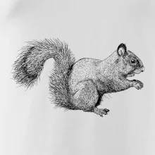 Veverička kresba