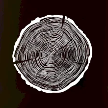 Letokruhy 55 bez veku