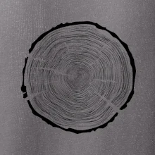 Letokruhy 100 bez veku